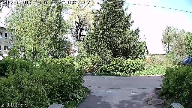 Хотьково Горбуновская 71 п4 Домофон