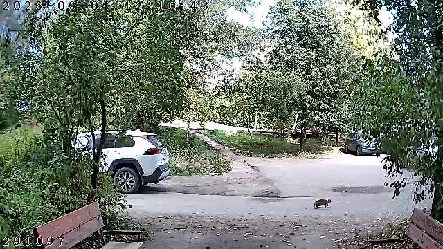 Хотьково Жучки 15 п4 Домофон