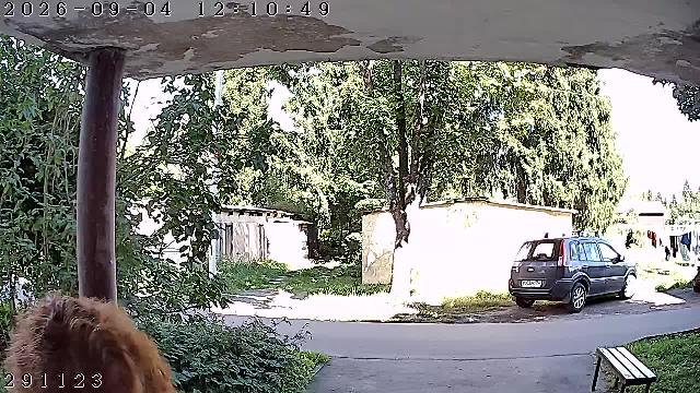 Хотьково Север 11 п4 Домофон