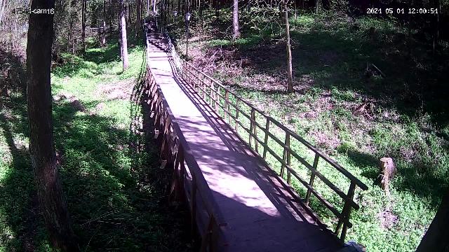 Абрамцево Пешеходная зона Мост в лесу